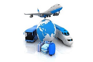 Vehicle Carrier Logistics